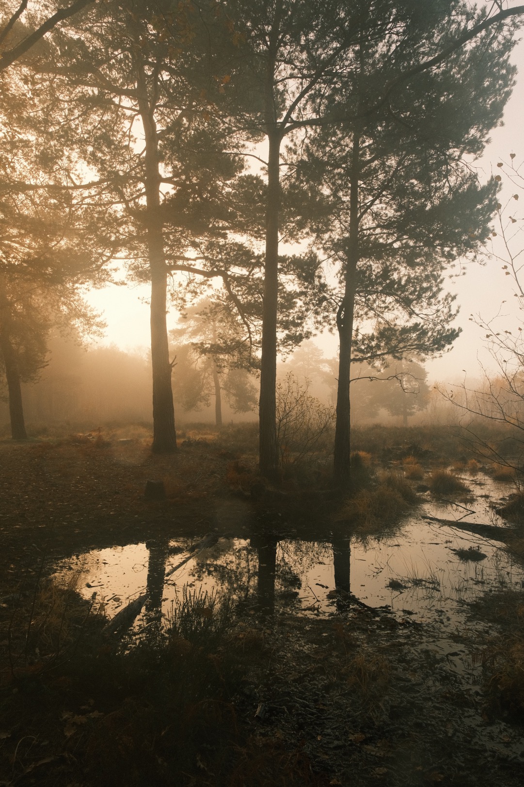 Dawnstar film recipe sample photo