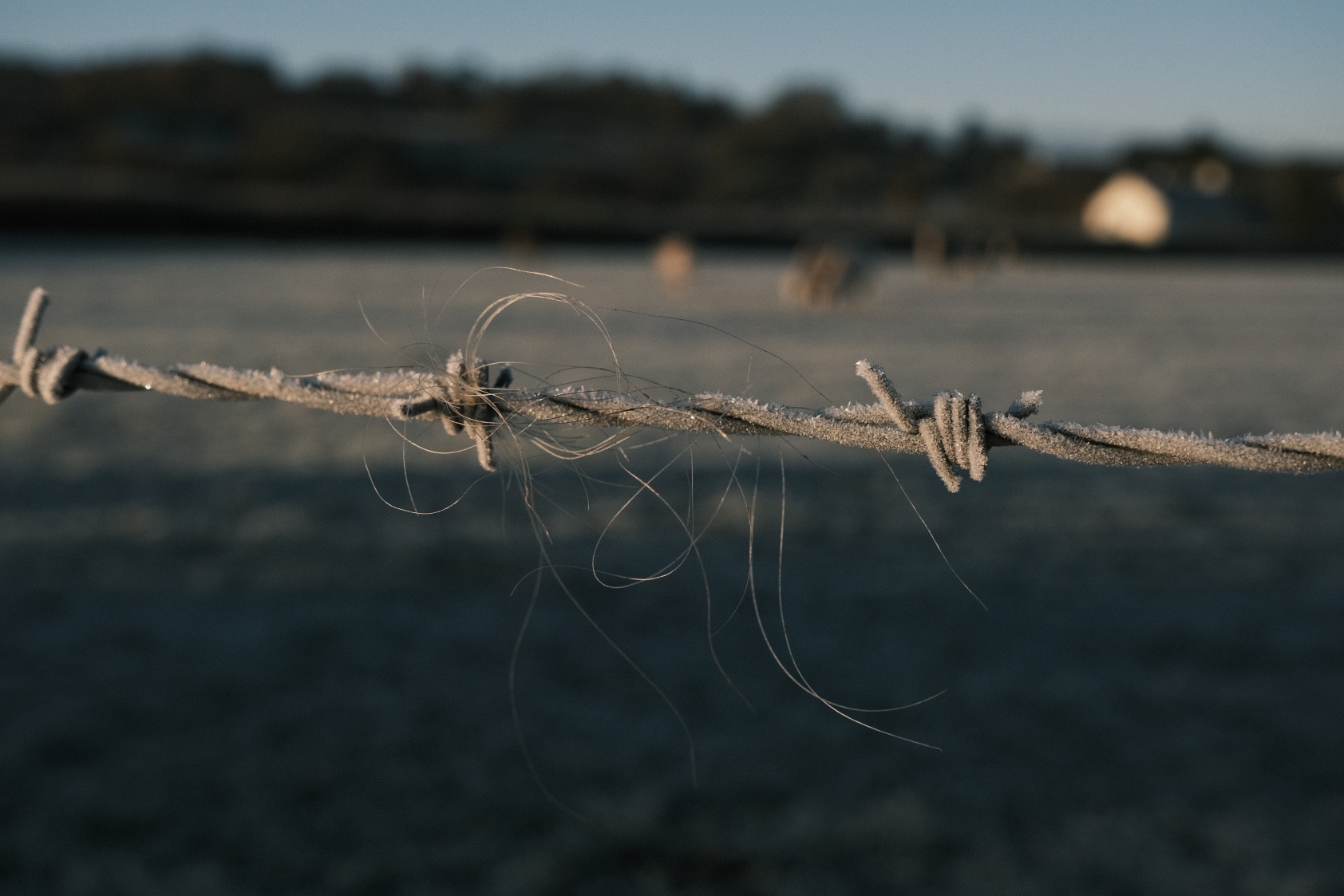 Catch 22 film recipe sample photo