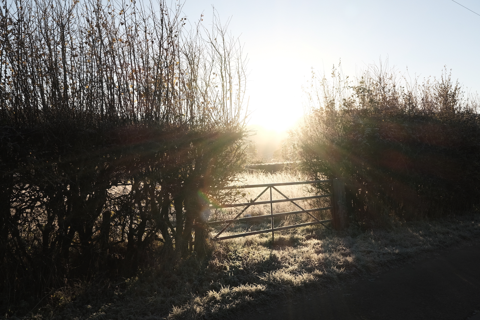 Natural Standard film recipe sample photo