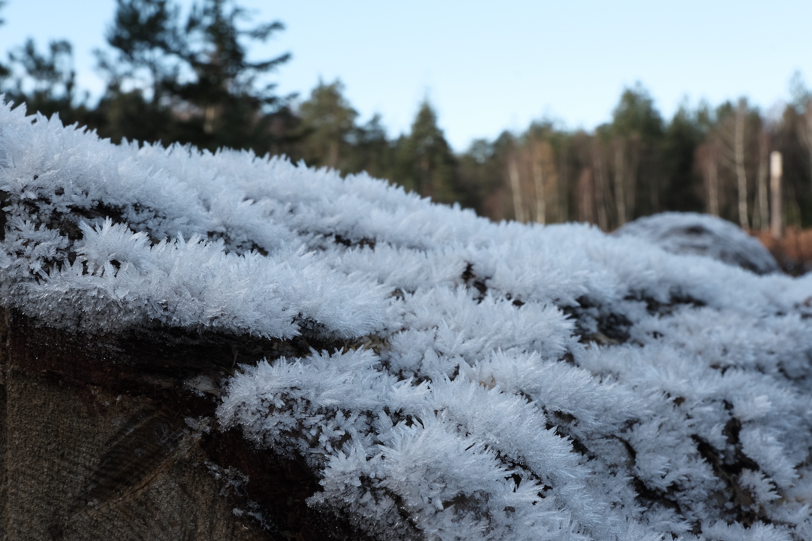 Natural Standard film recipe sample photo