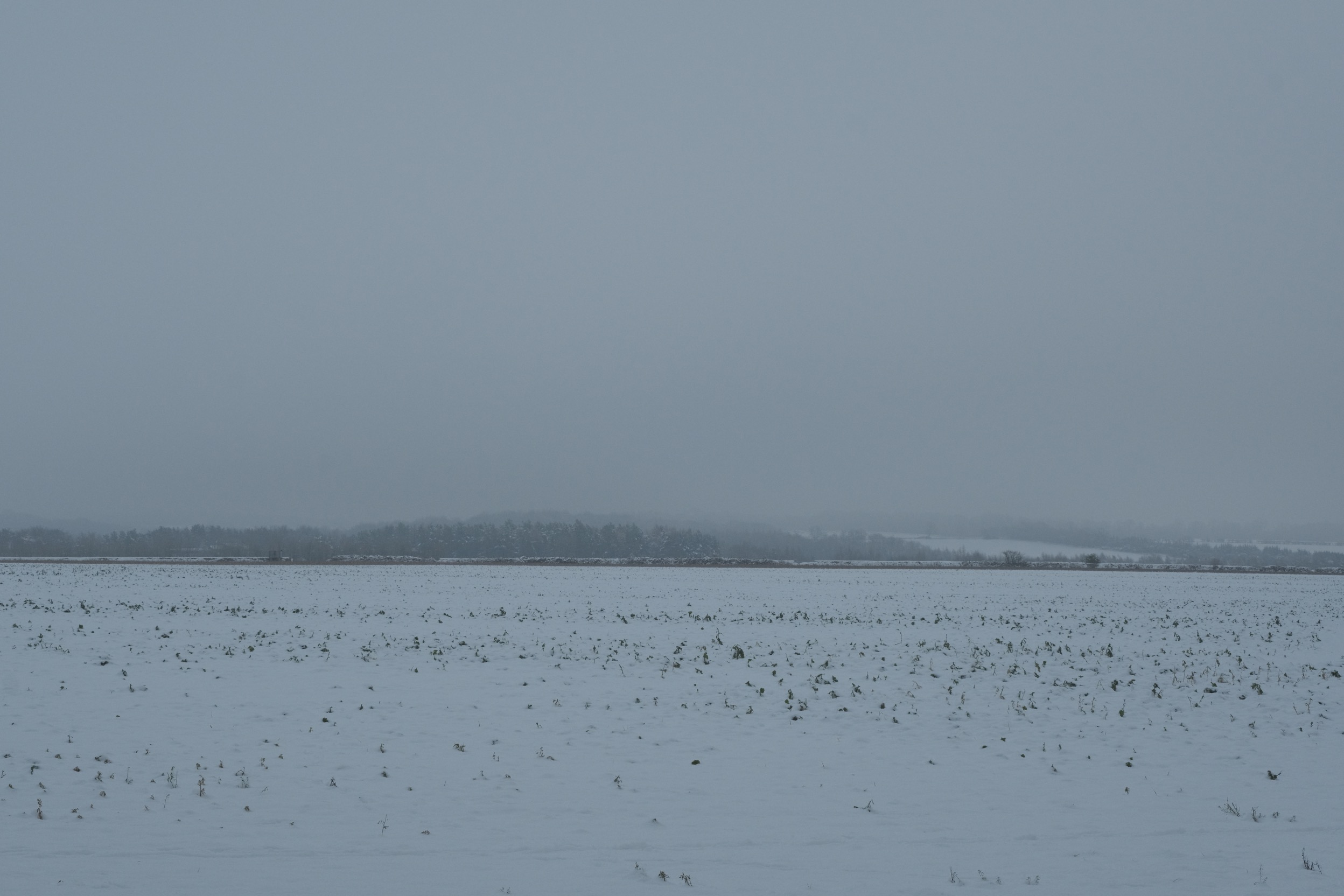 Winter Eterna film recipe sample photo