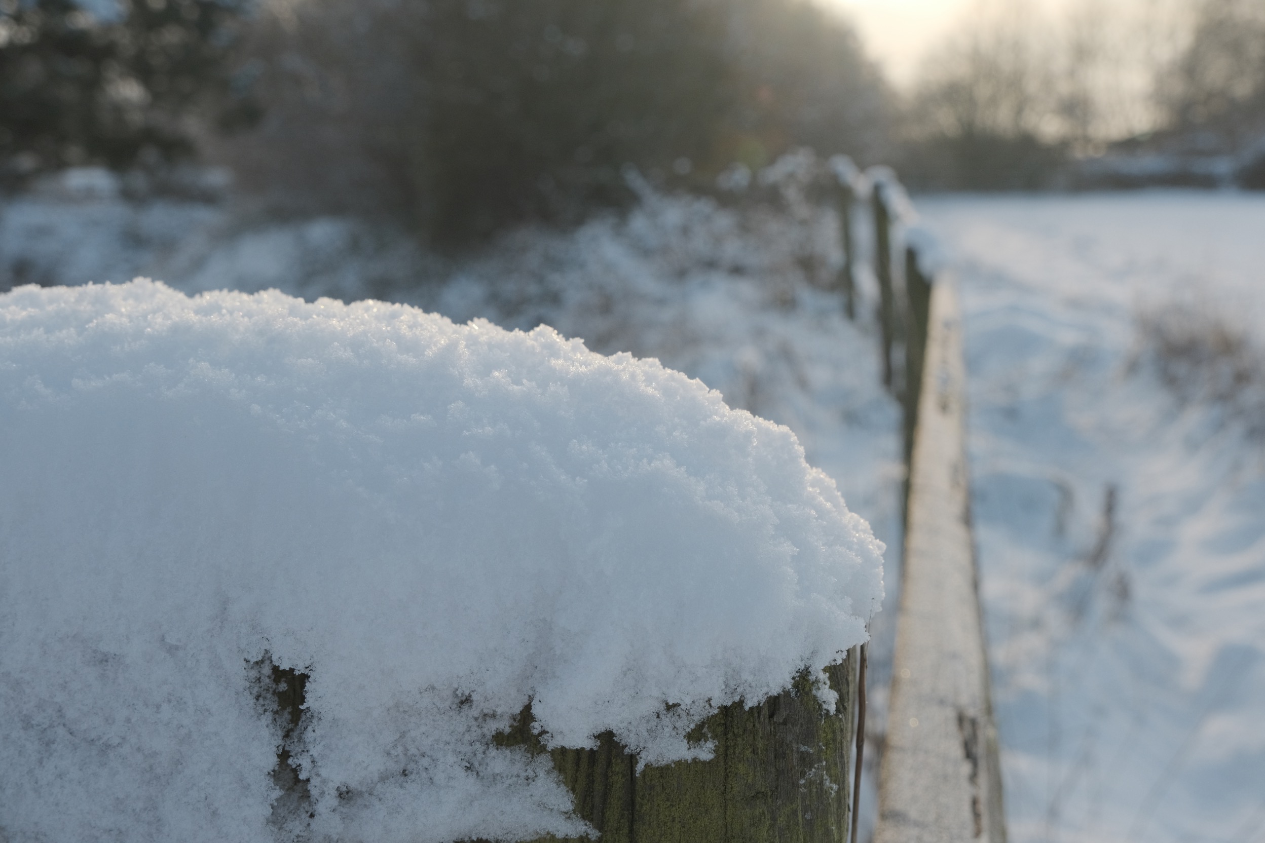 Winter Eterna film recipe sample photo