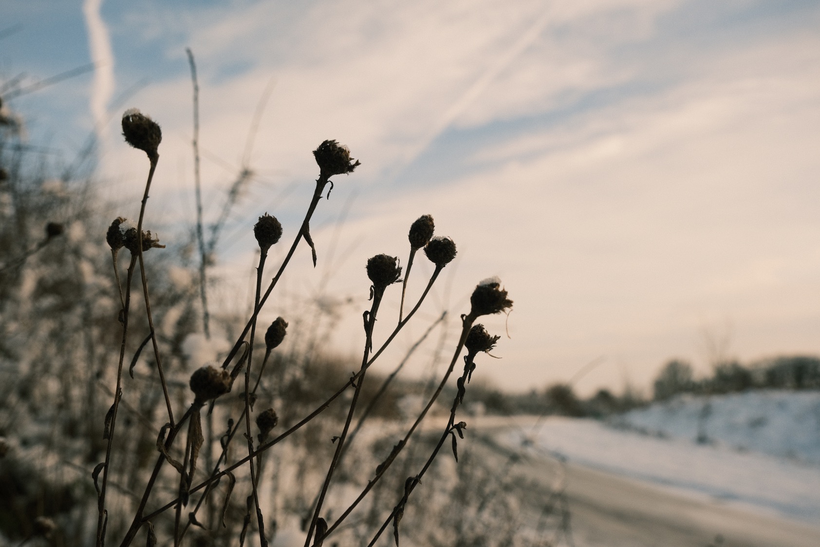 Dawnstar film recipe sample photo