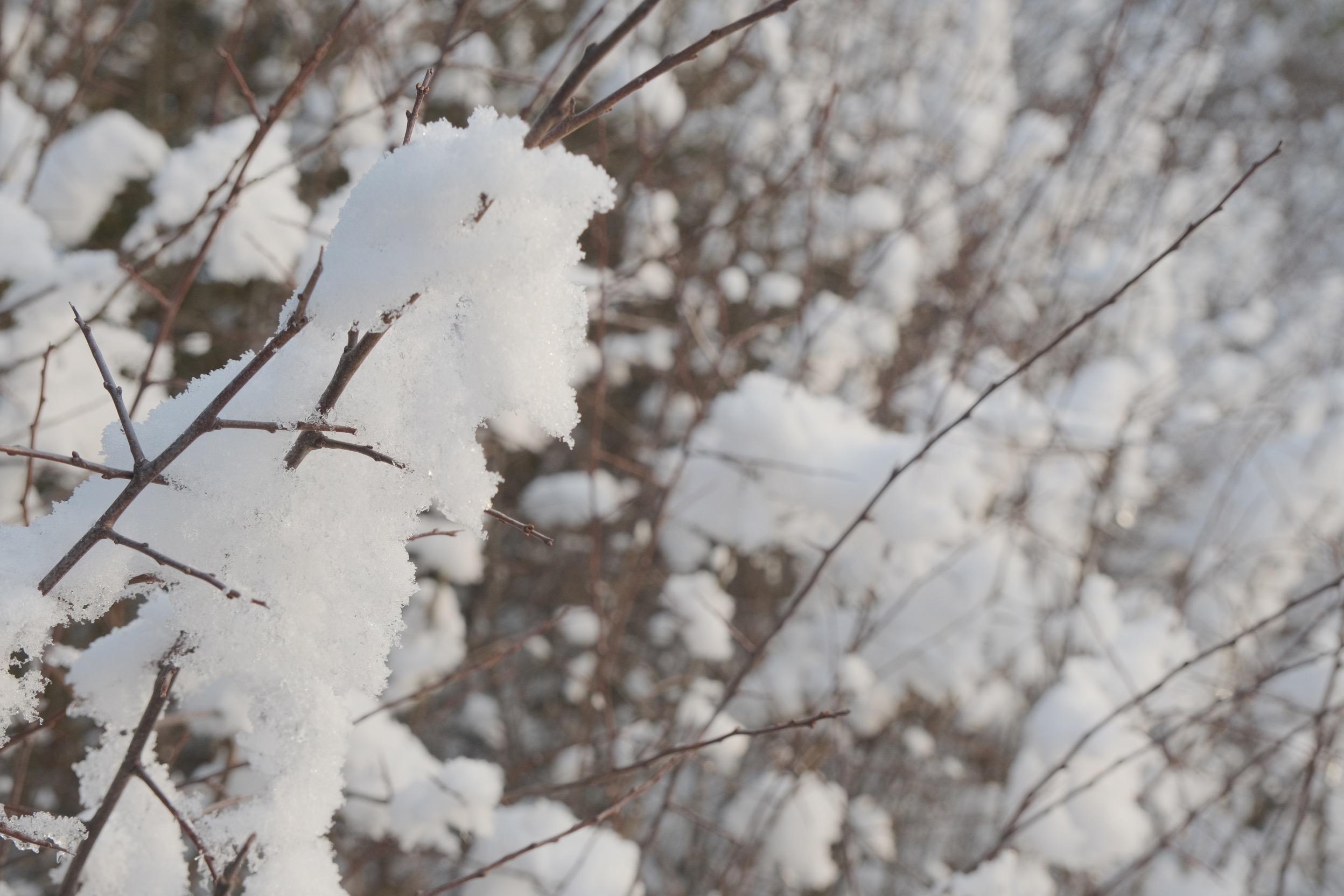 Winter Eterna film recipe sample photo