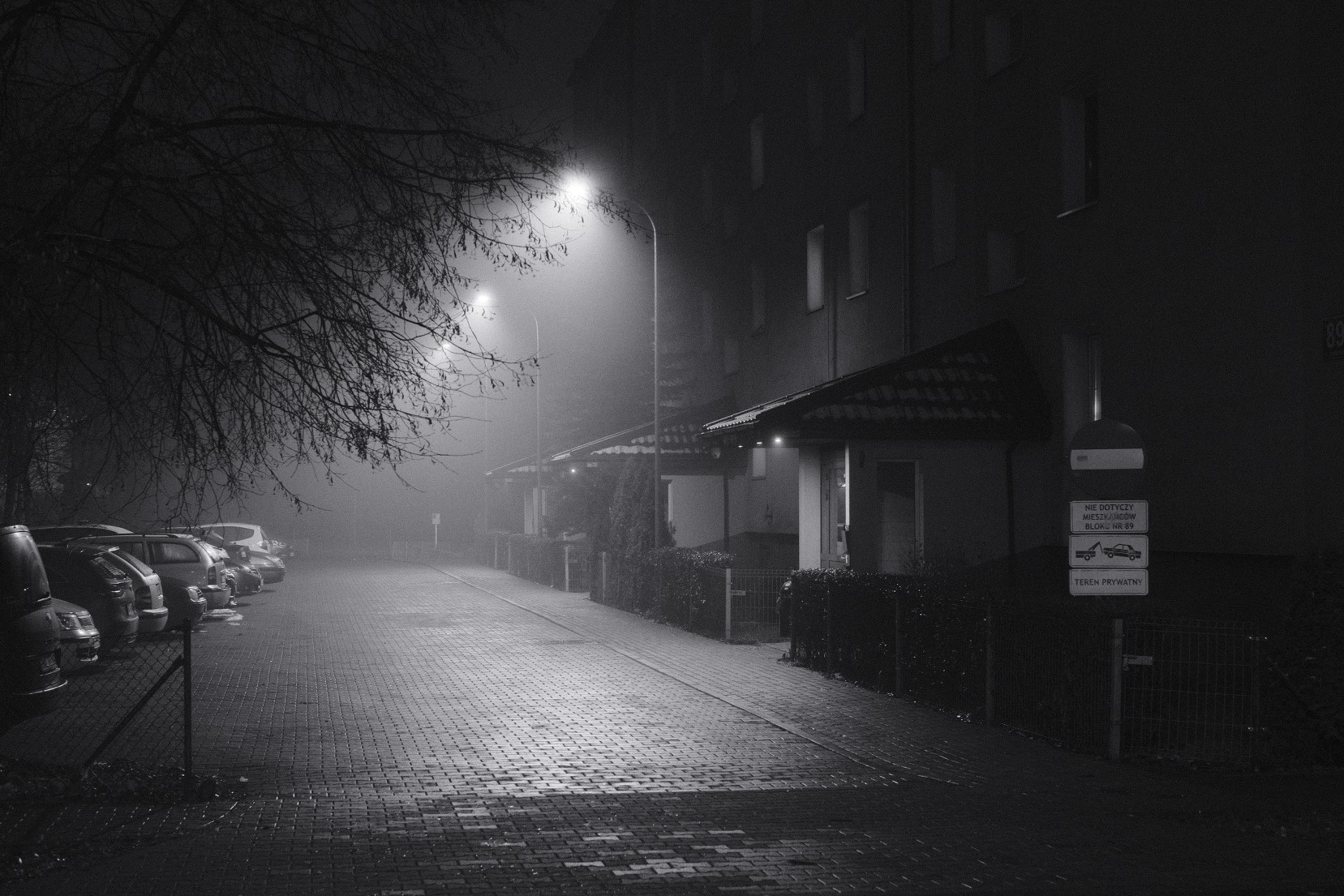 Silvertone 99 film recipe photo by Thocles