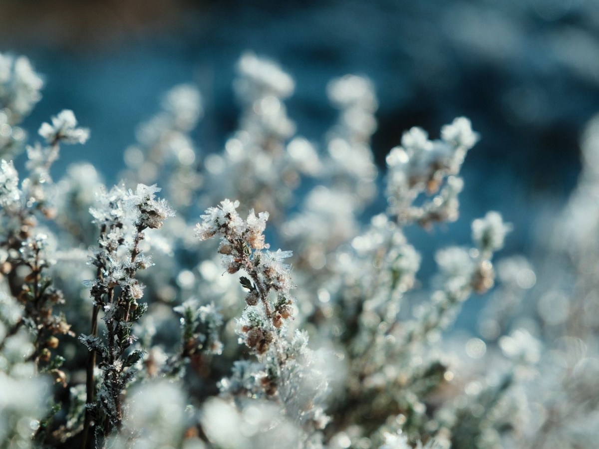 Vinterkrom, Classic Chrome for&nbsp;Wintertime