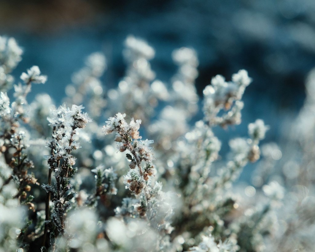 Vinterkrom, Classic Chrome for&nbsp;Wintertime