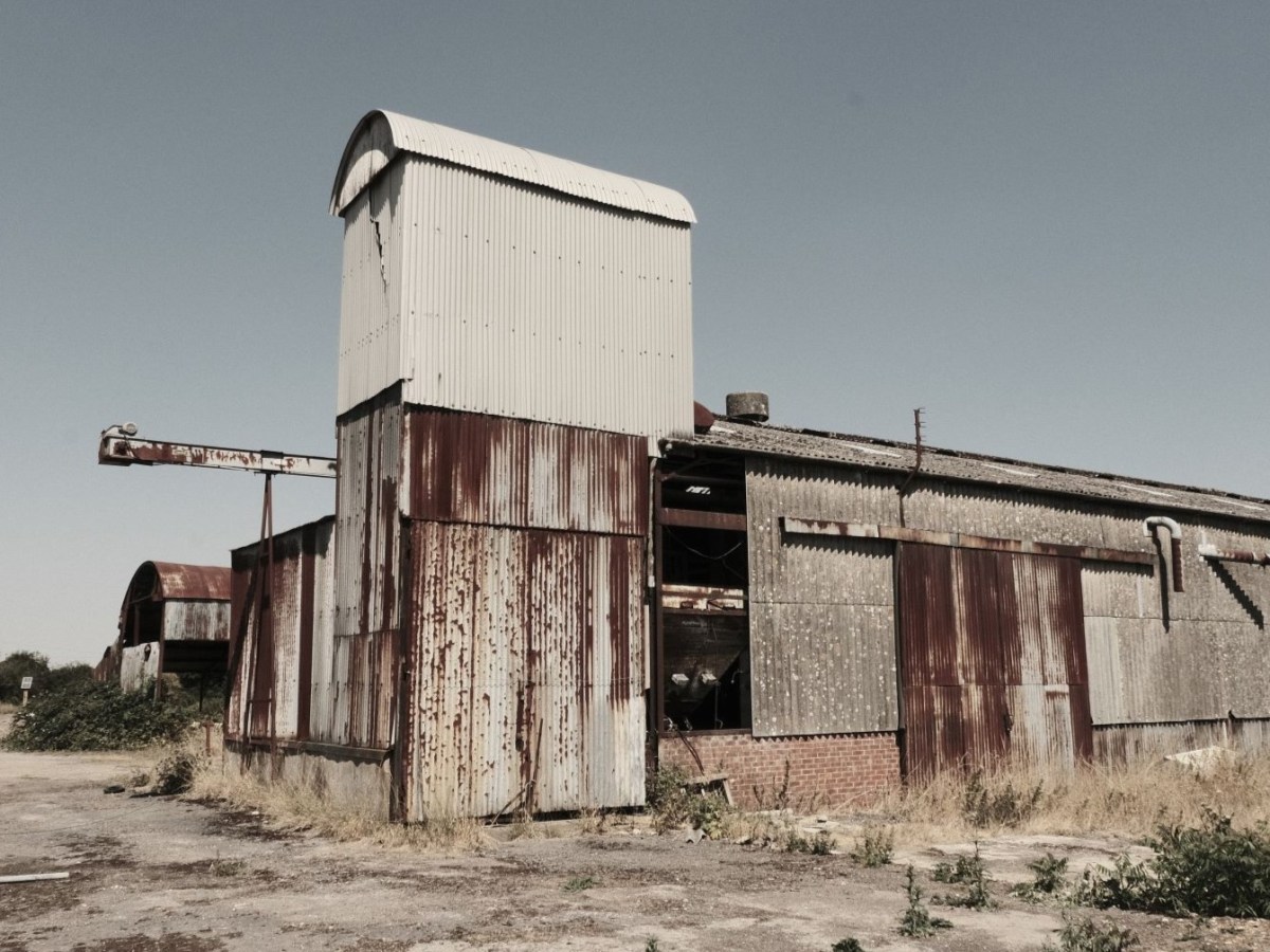 Zodiac Pale, an Old Tone Vintage&nbsp;Recipe