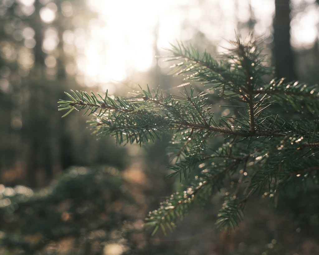 Age of Aquarius, Let the Sunshine&nbsp;In