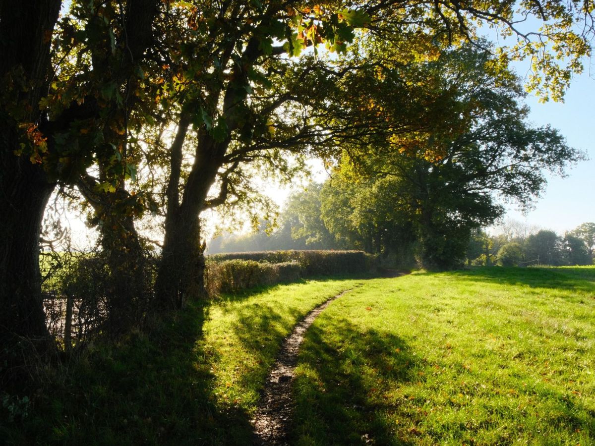 Arboria, Astia for All Seasons&nbsp;Colour