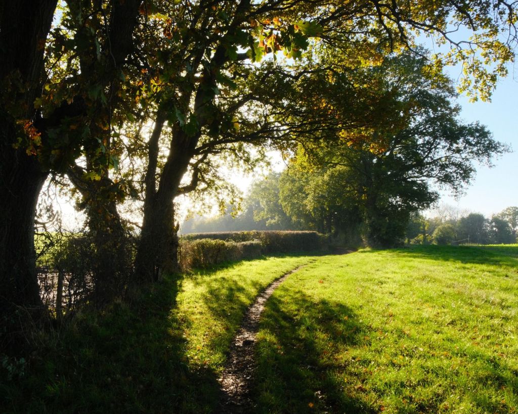 Arboria, Astia for All Seasons&nbsp;Colour