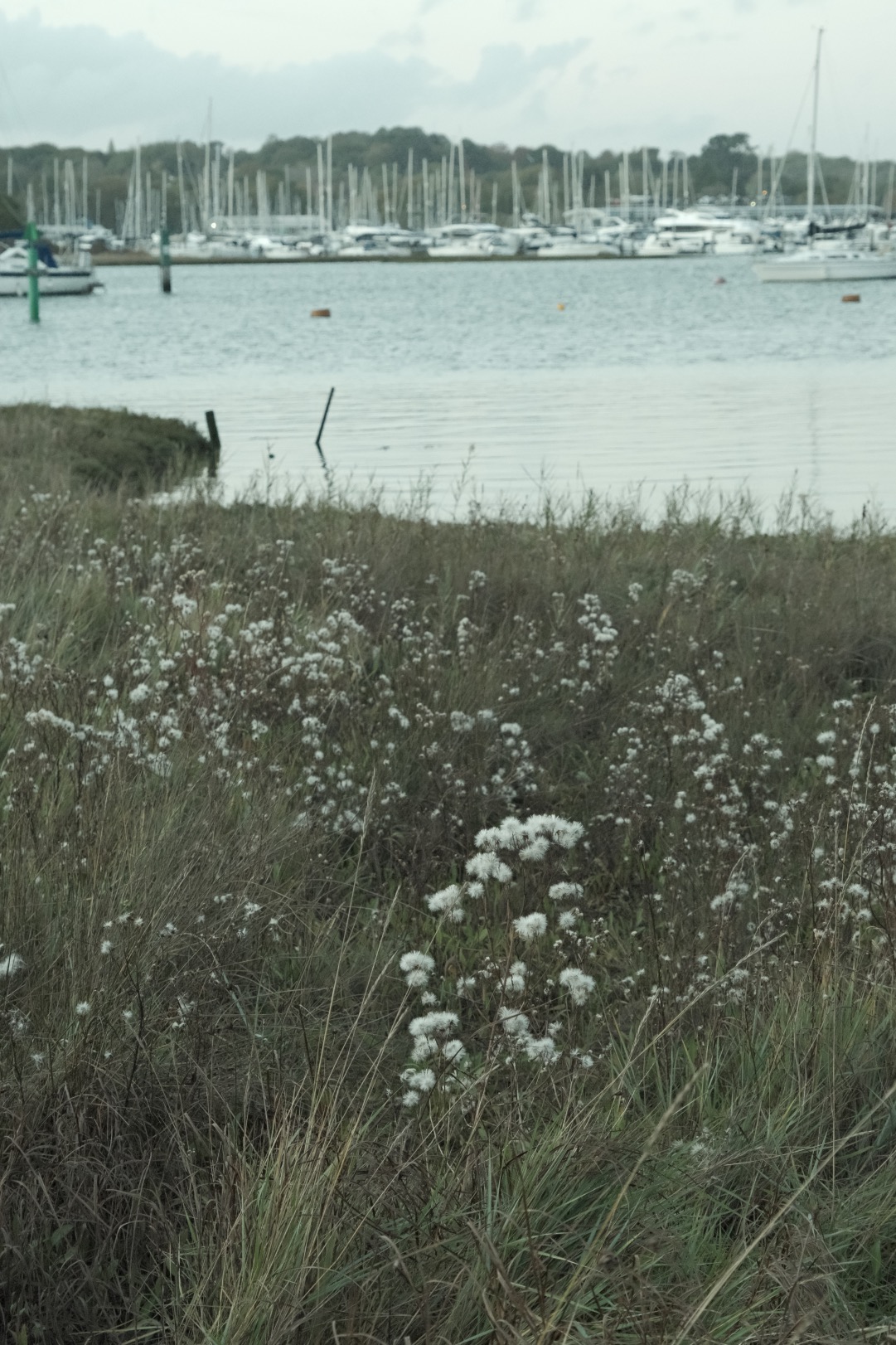 Expired Geographic film recipe sample photo