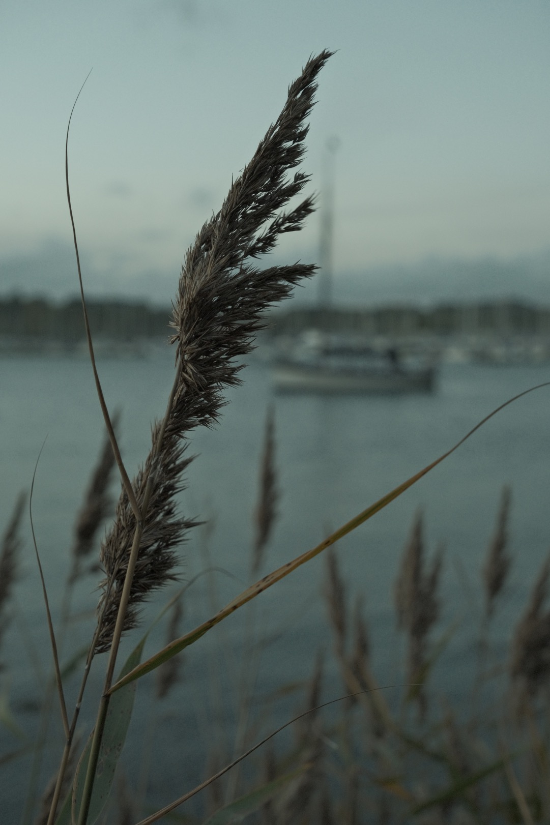 Expired Geographic film recipe sample photo