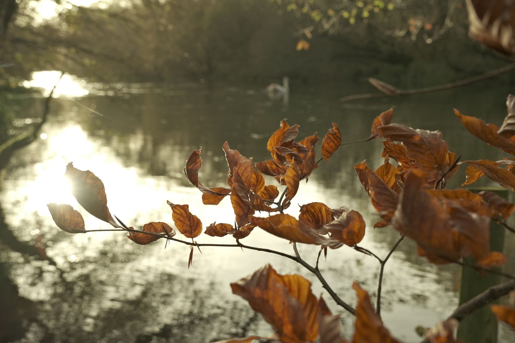 Expired Geographic film recipe sample photo