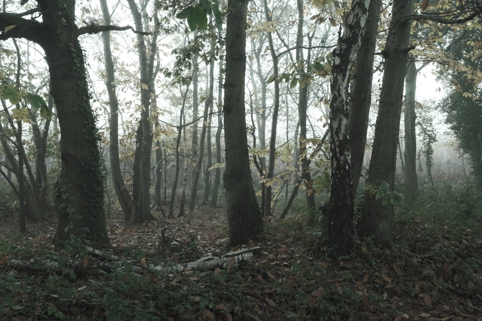 Aquamarine, Watery Blue Tones Bleach Bypass – Film Recipes for Fujifilm ...