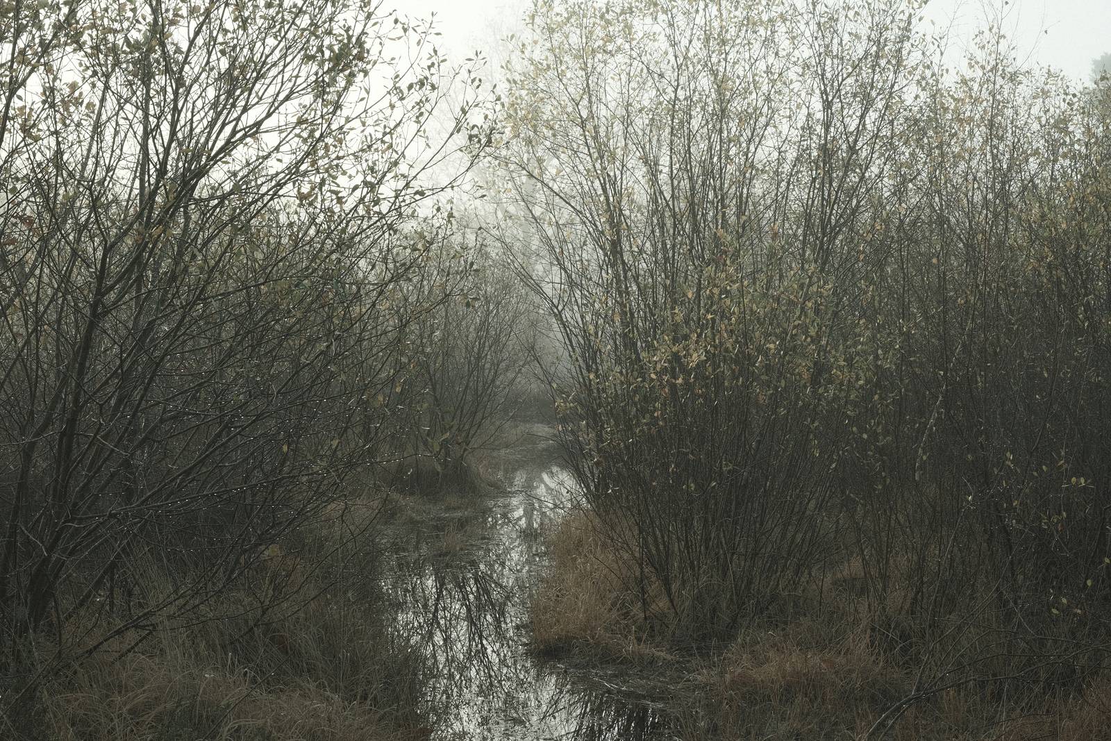 Aquamarine, Watery Blue Tones Bleach Bypass – Film Recipes for Fujifilm ...