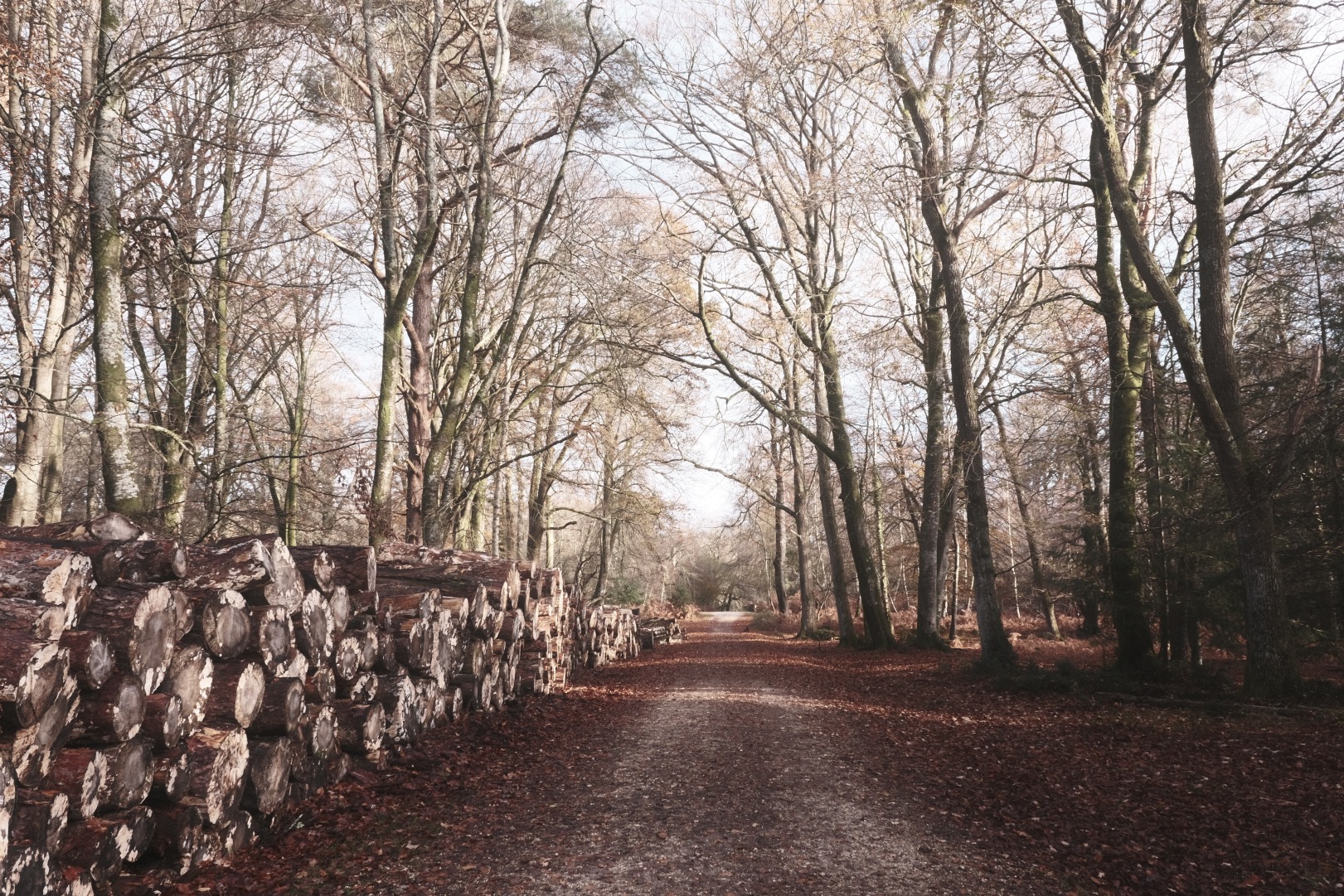 Wychwood Pale film recipe sample photo