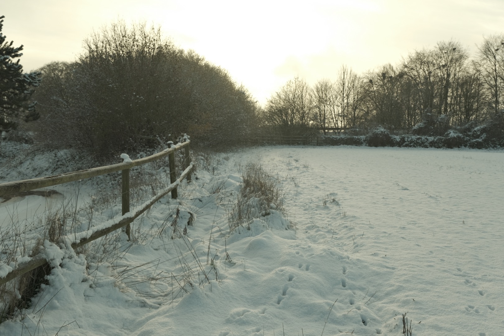 Expired Geographic film recipe sample photo