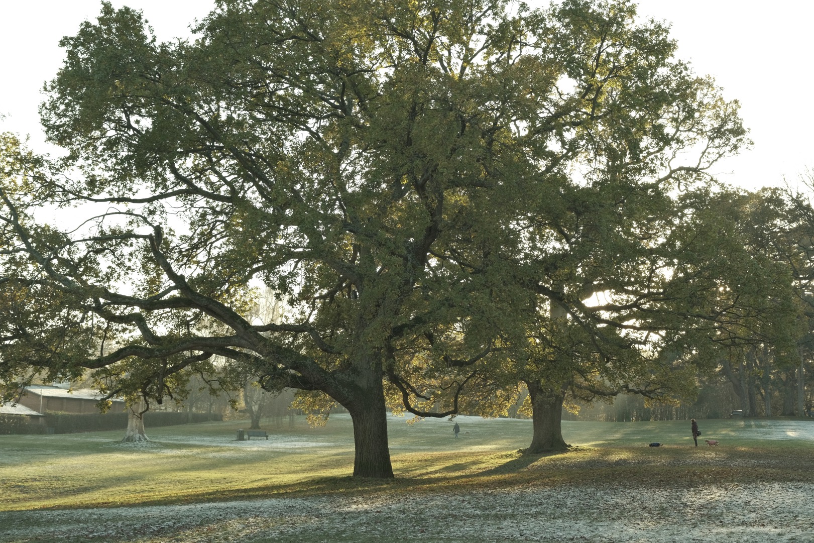 Expired Geographic film recipe sample photo
