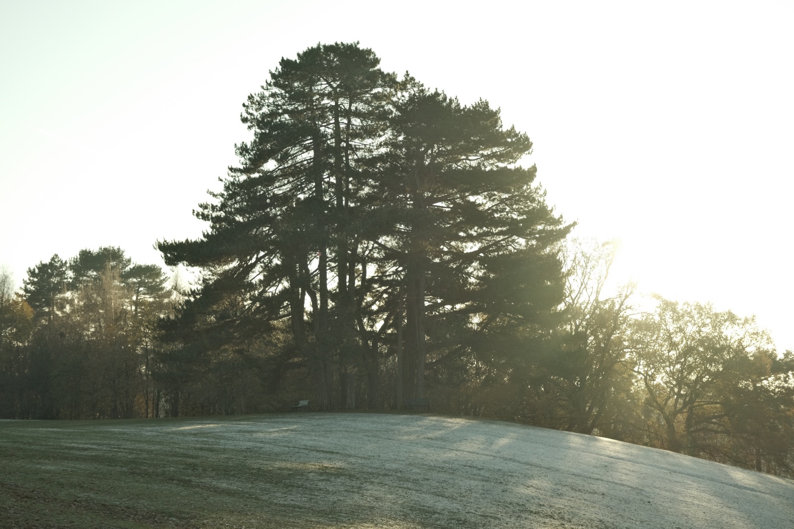 Expired Geographic film recipe sample photo