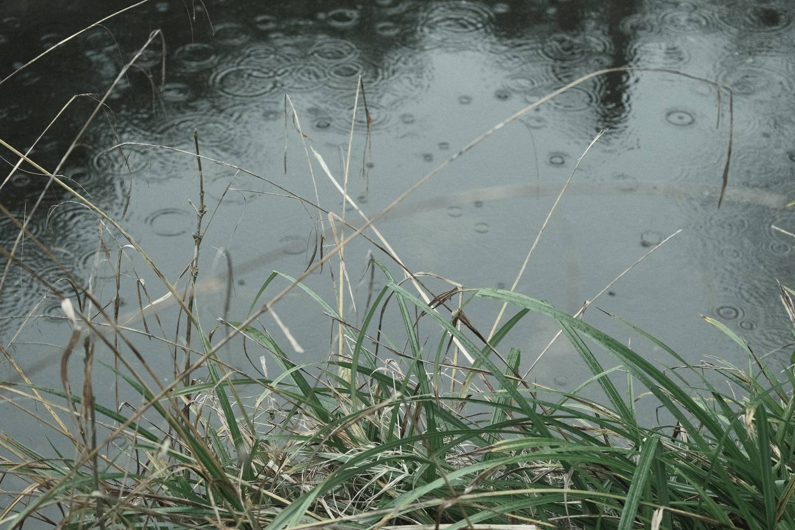 Aquamarine film recipe sample photo