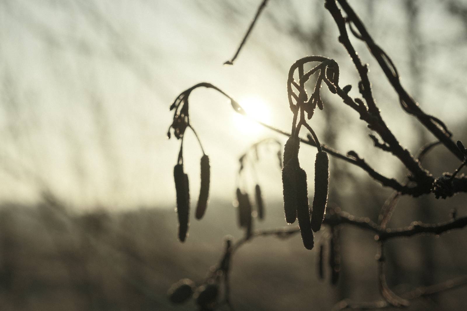 Aquamarine, Watery Blue Tones Bleach Bypass – Film Recipes for Fujifilm ...