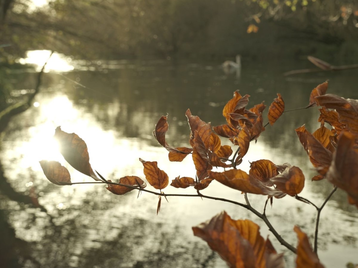 Expired Geographic, Aged Eterna for&nbsp;Nature