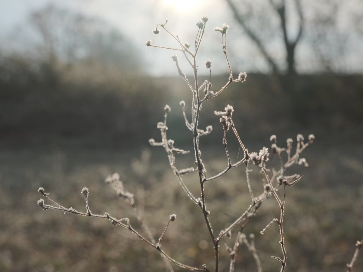 Winter Eterna, a Matte Cinematic&nbsp;Style