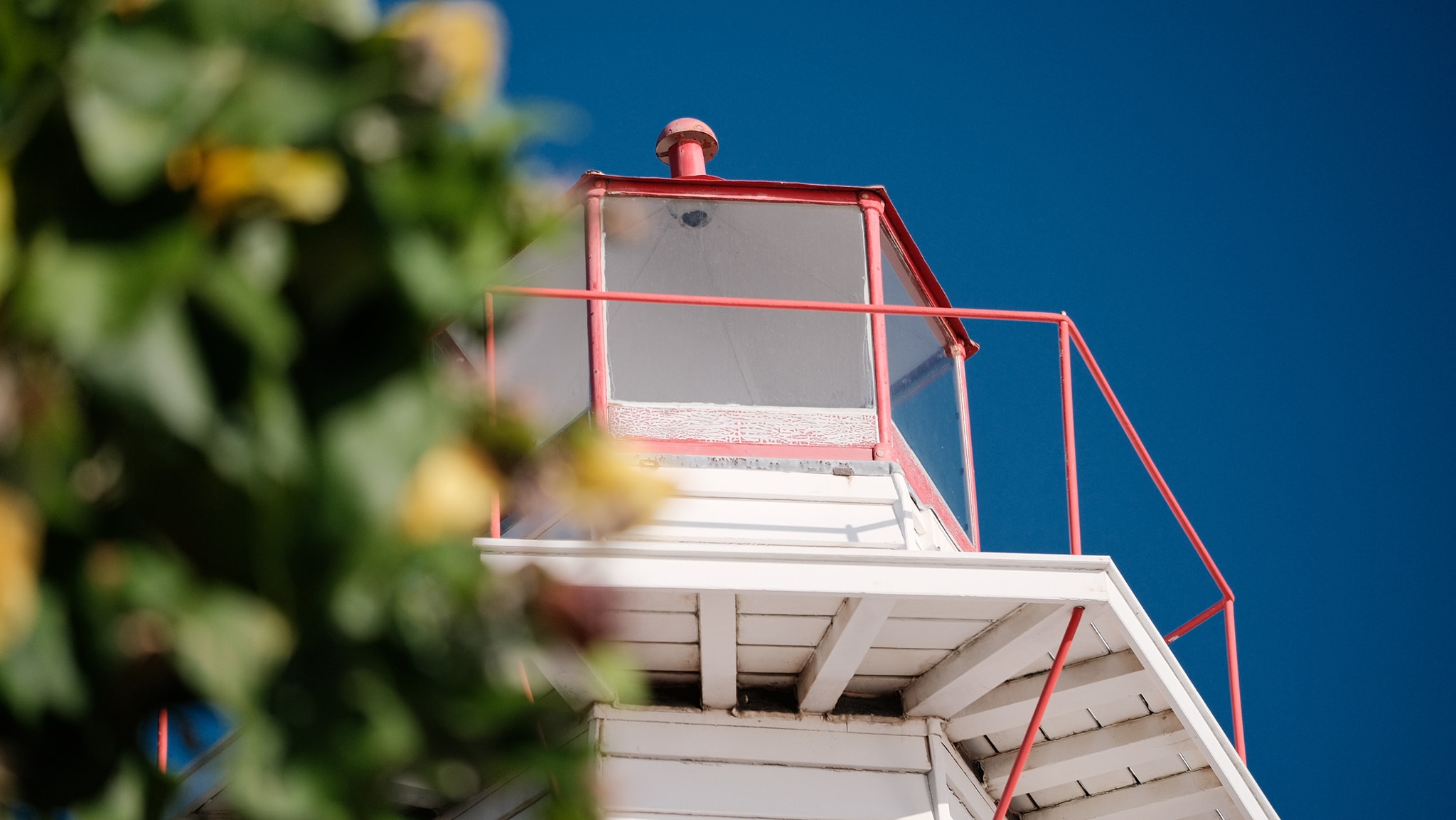 Kodak Pro Image film recipe photo by Darren Urda