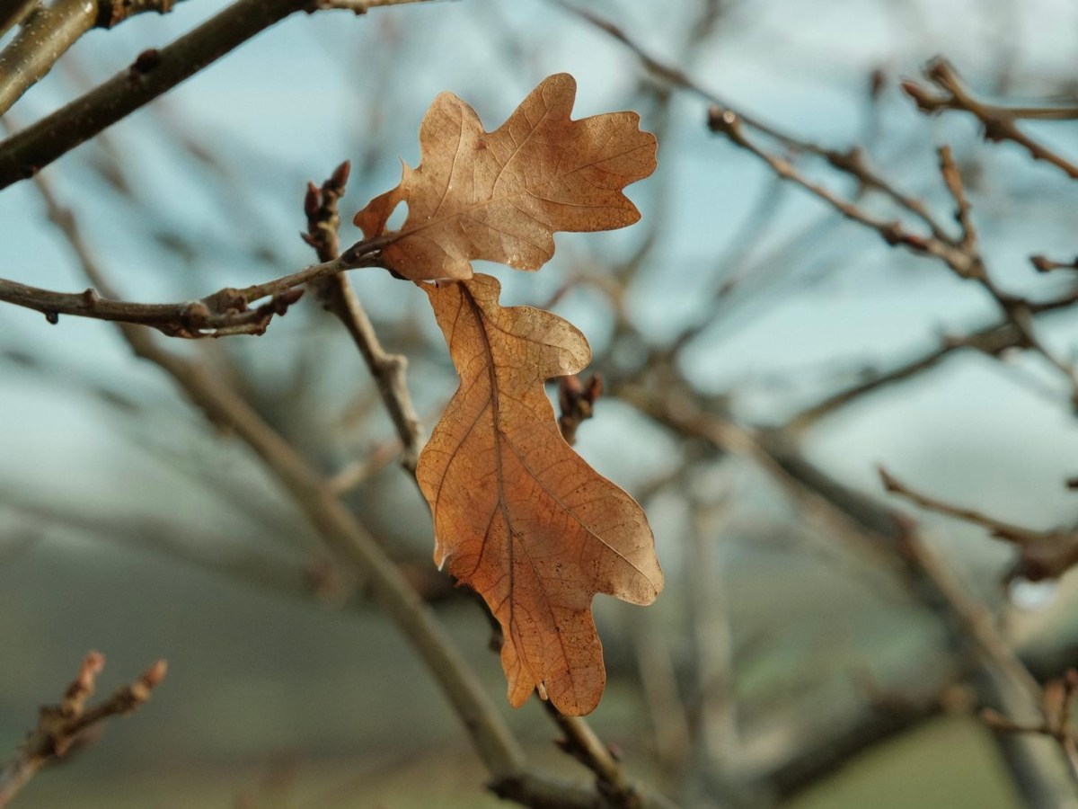 Flatpack, Matte 35mm Film&nbsp;Recipe