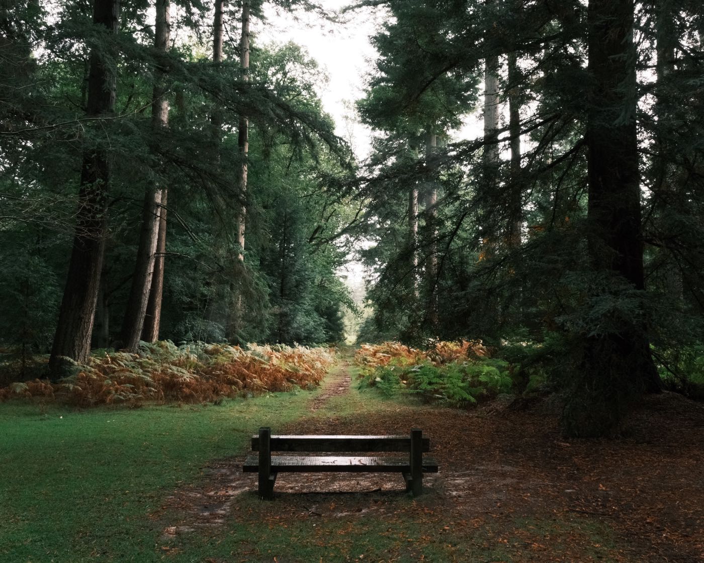 Fujicolor Ambience Film Recipe