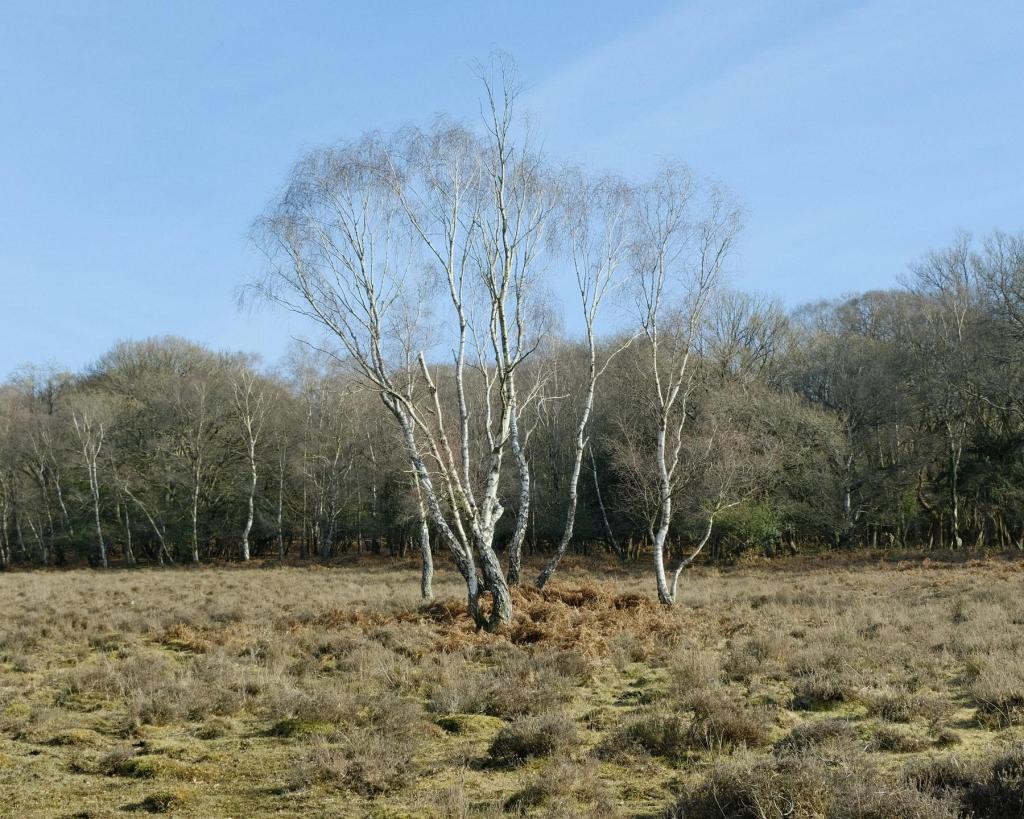 Hiking Buddy, for Full Colour Photo&nbsp;Walks