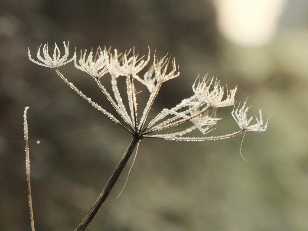 Explorer’s Cinematic, Mellow Eterna for&nbsp;Nature