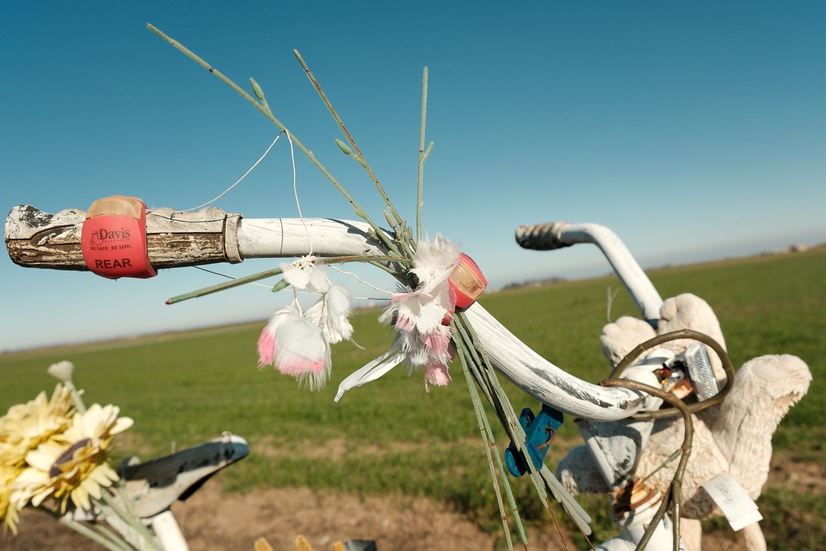 Kodachrome Classic film recipe photo by Andrew Gundershaug