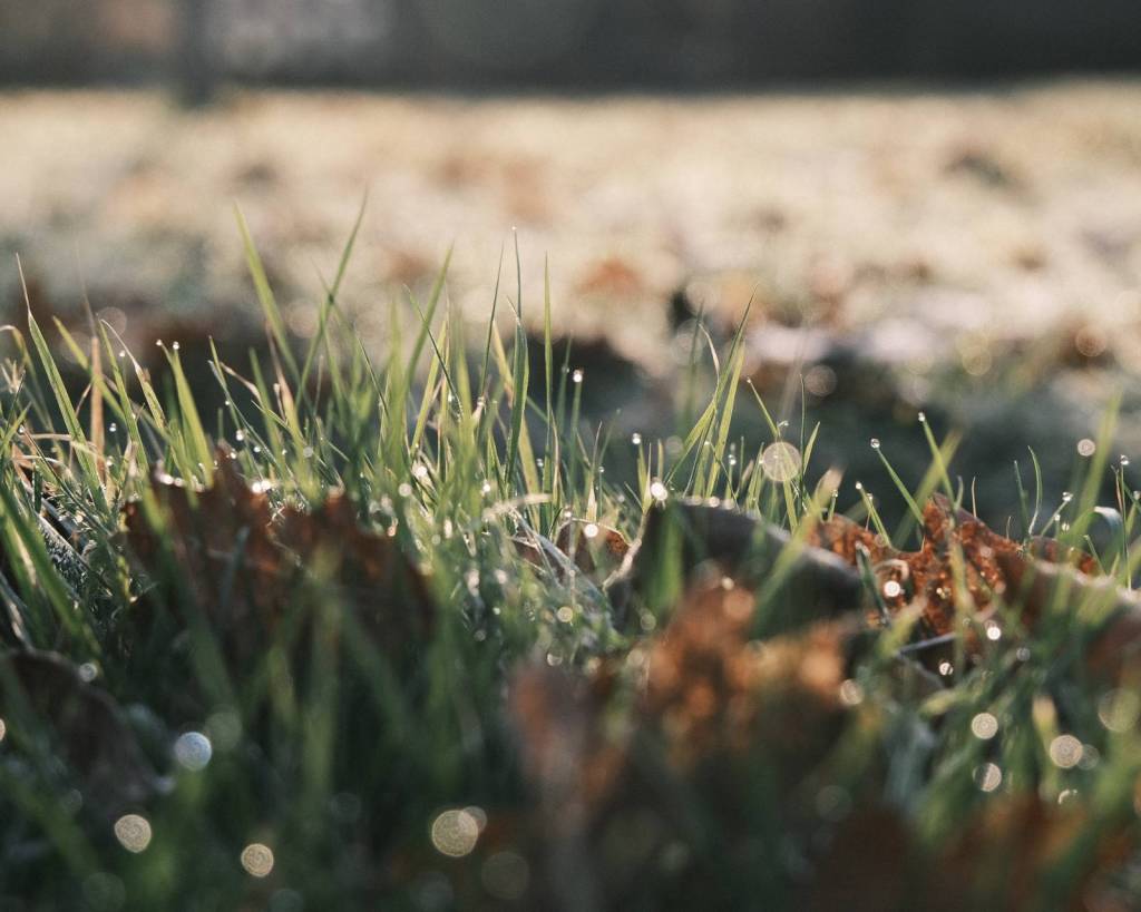 Classic Print, like Prints from Fujifilm&nbsp;Negatives