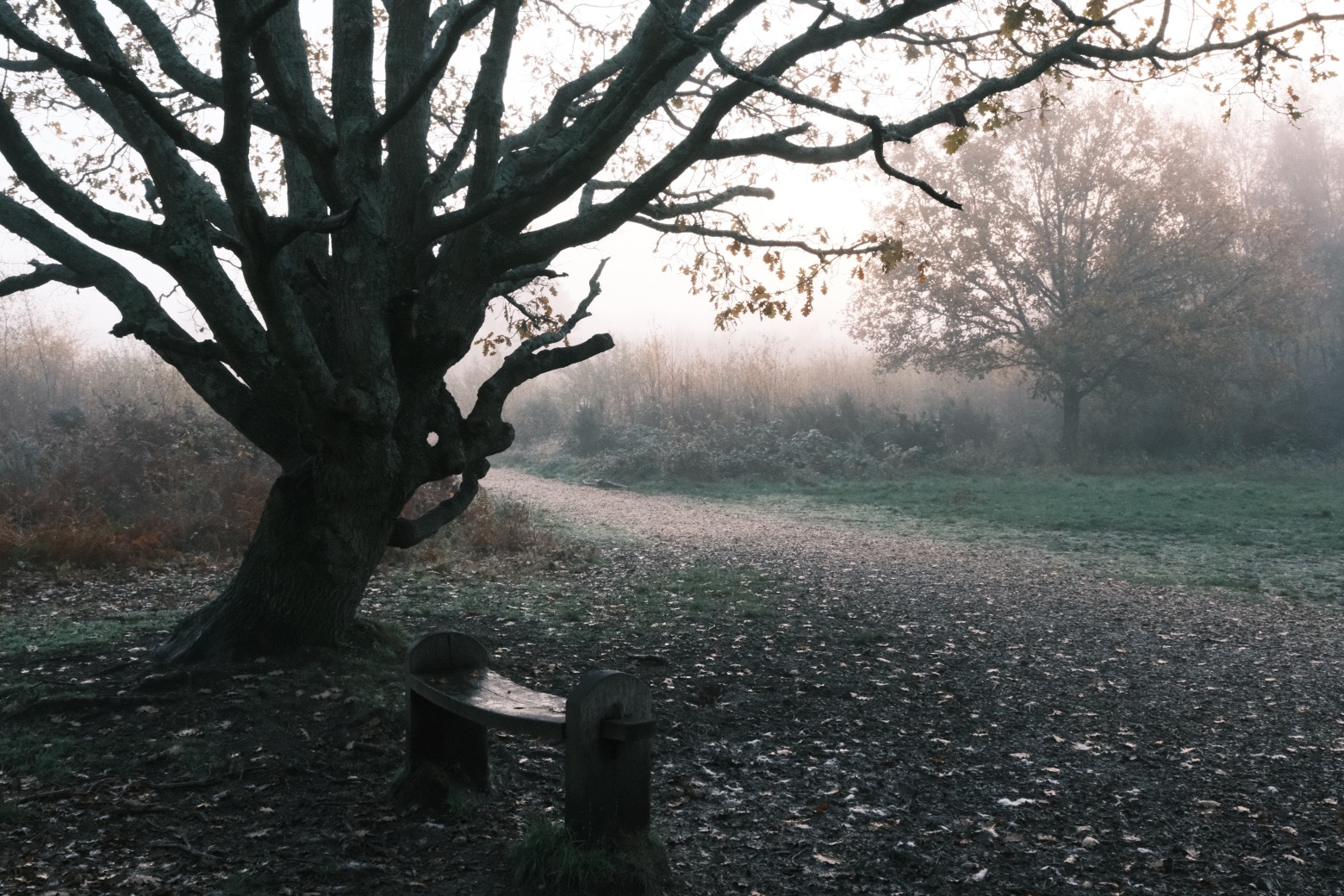 Fujicolor Ambience film recipe sample photo