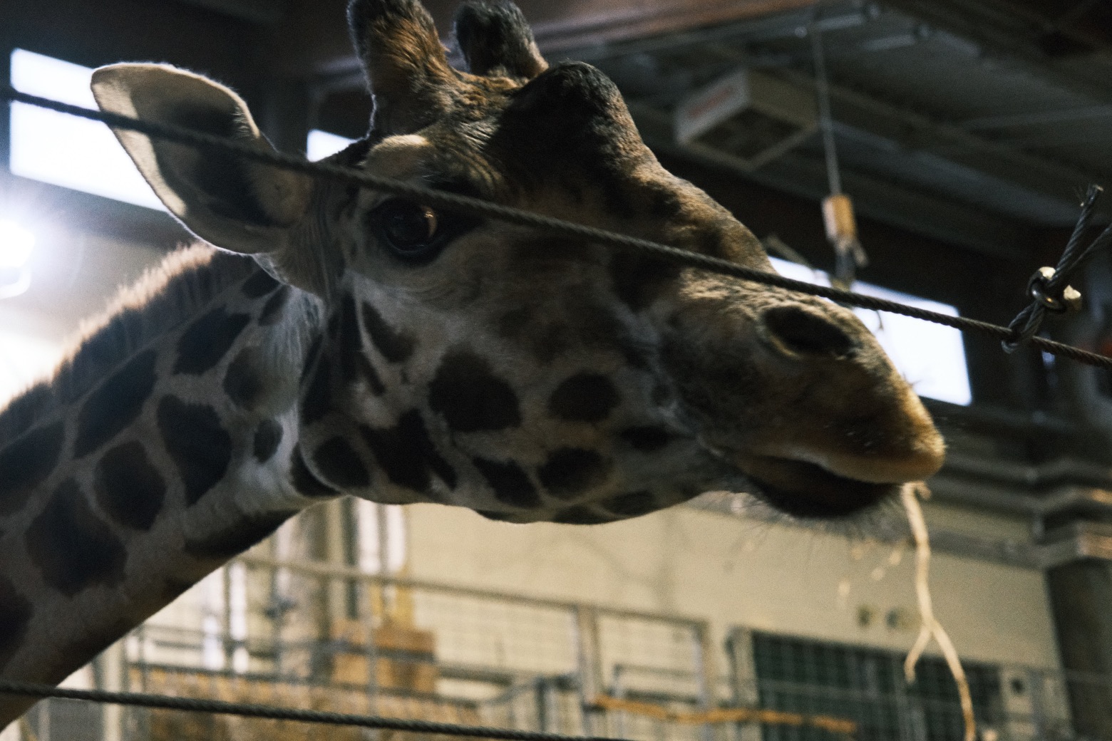 Fujicolor Ambience film recipe sample photo