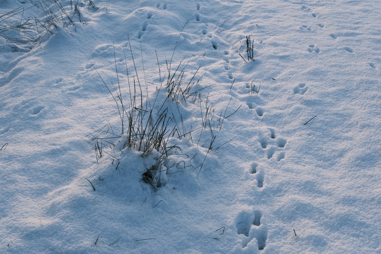 Fujicolor Ambience film recipe sample photo