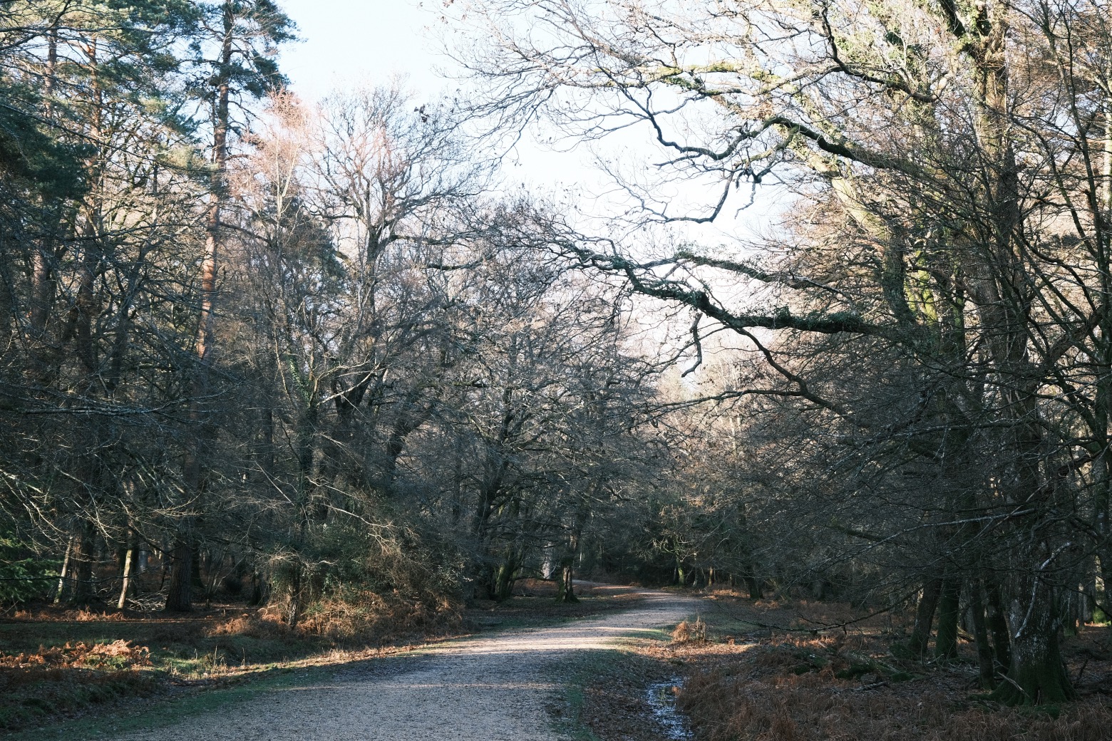 Fujicolor Ambience film recipe sample photo