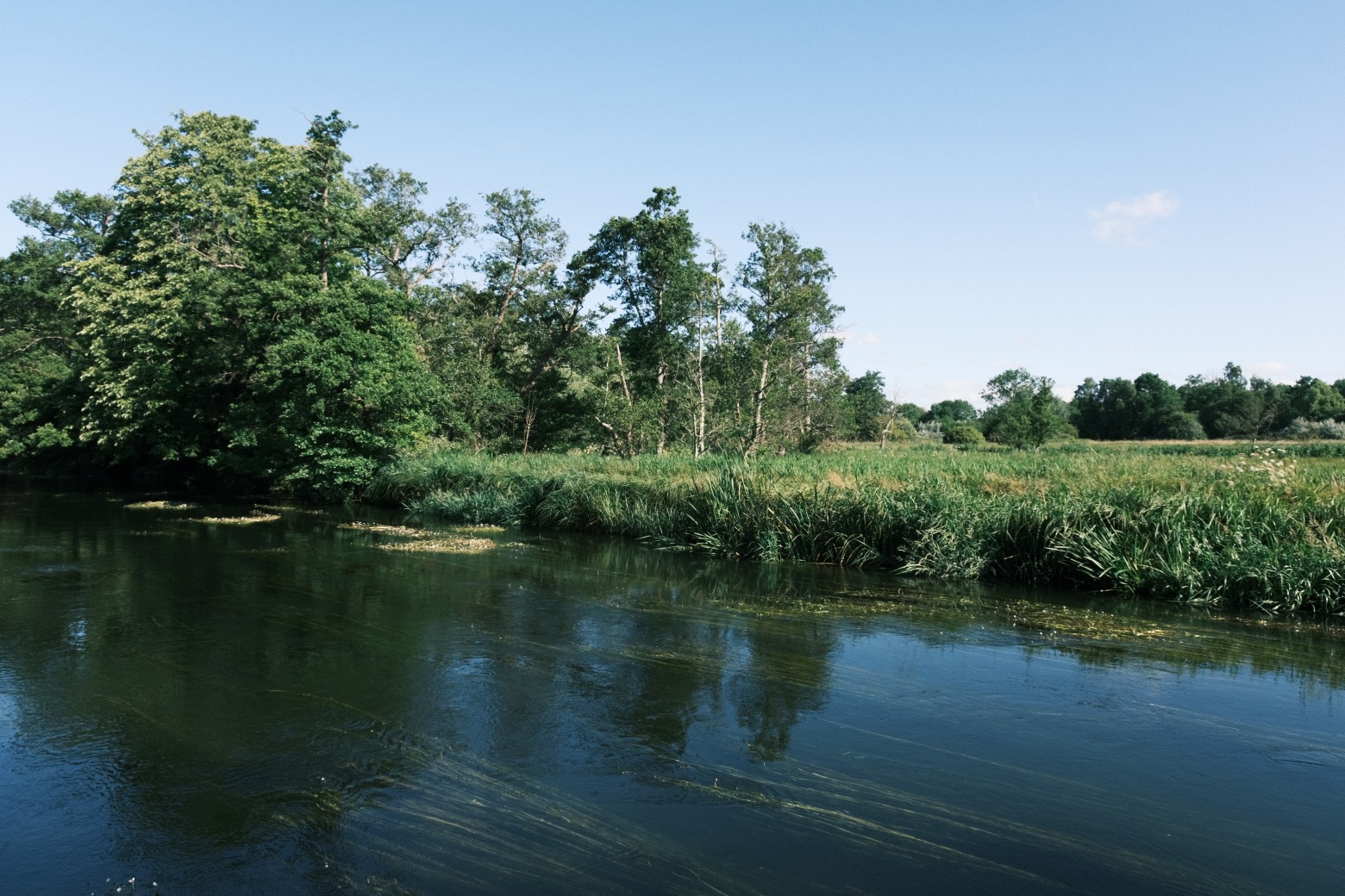 Fujicolor Ambience film recipe sample photo