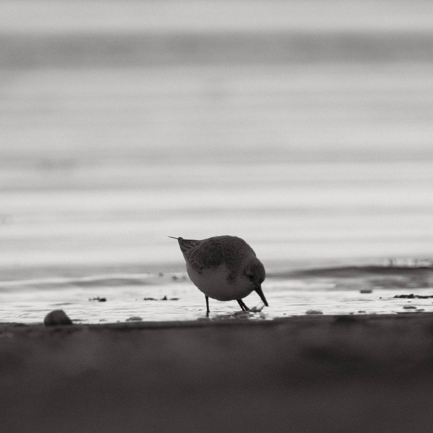 Soft Acros film recipe sample photo
