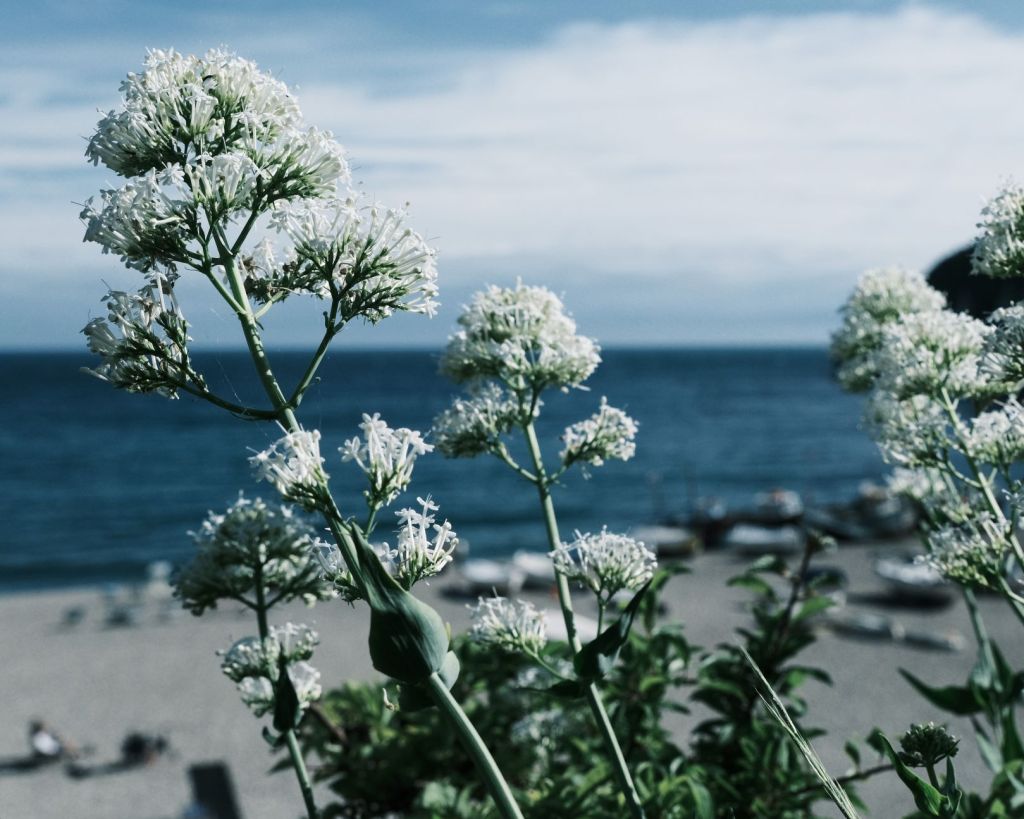 Glacier Blue, Icy Azure Blue&nbsp;Tones