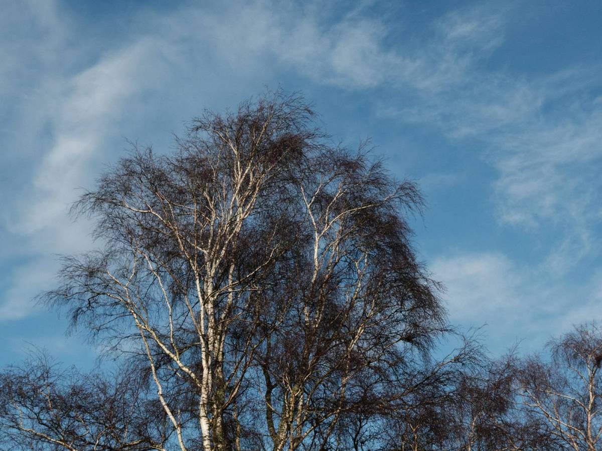 Kodacolor Ambience, a Pure Kodak Chrome&nbsp;Look