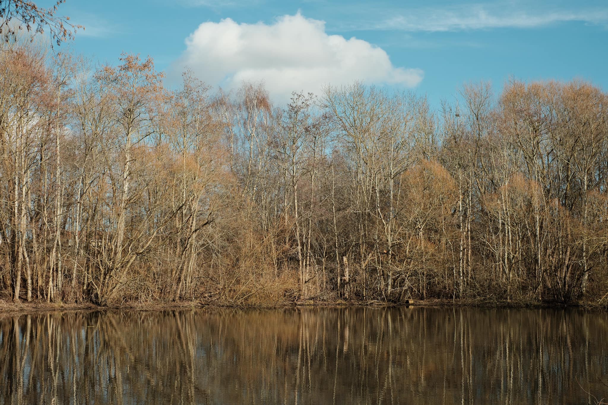 Kodachrome Classic film recipe photo by Sabrina Magnusson