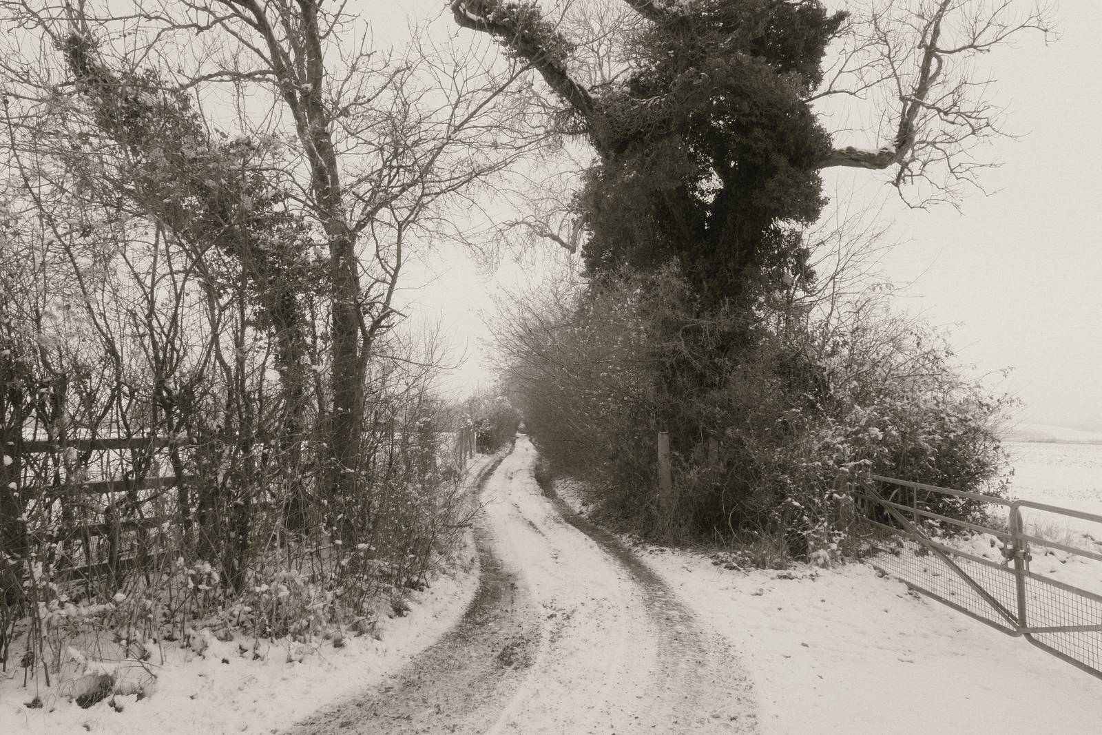 Mono 42 film recipe sample photo