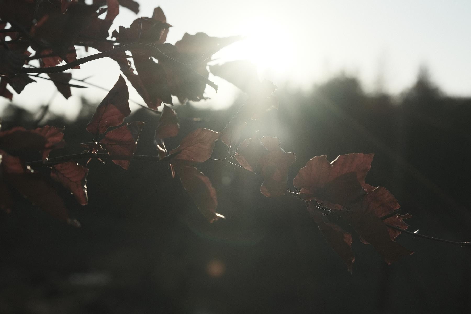 Titanium film recipe sample photo