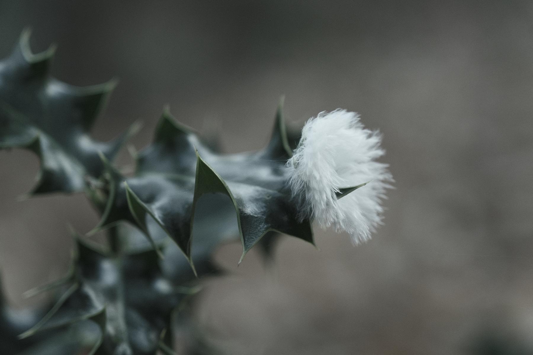 Titanium film recipe sample photo