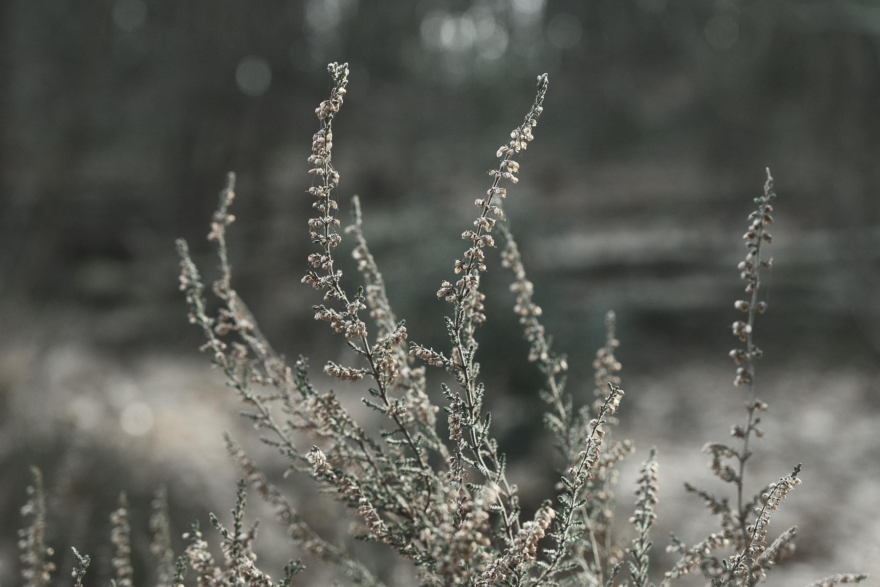 Titanium film recipe sample photo