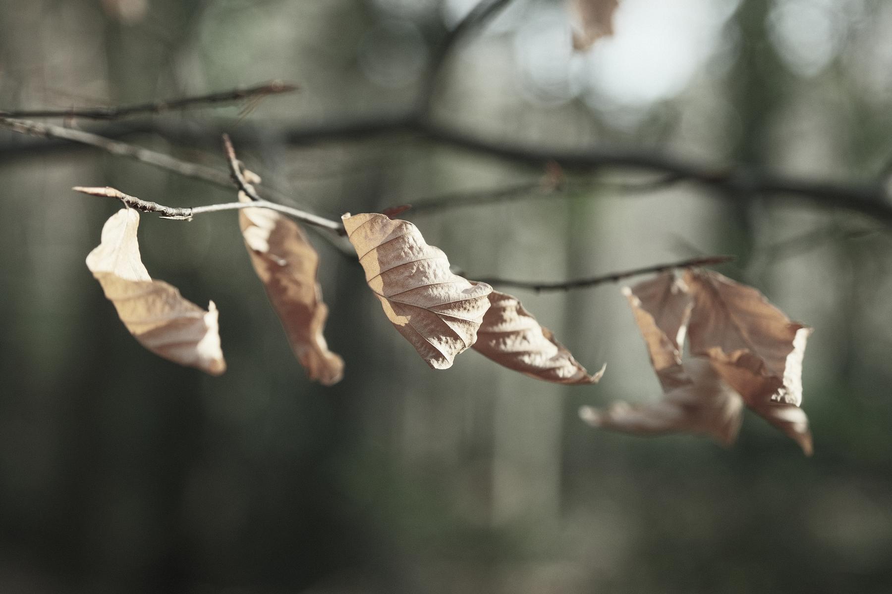 Titanium film recipe sample photo
