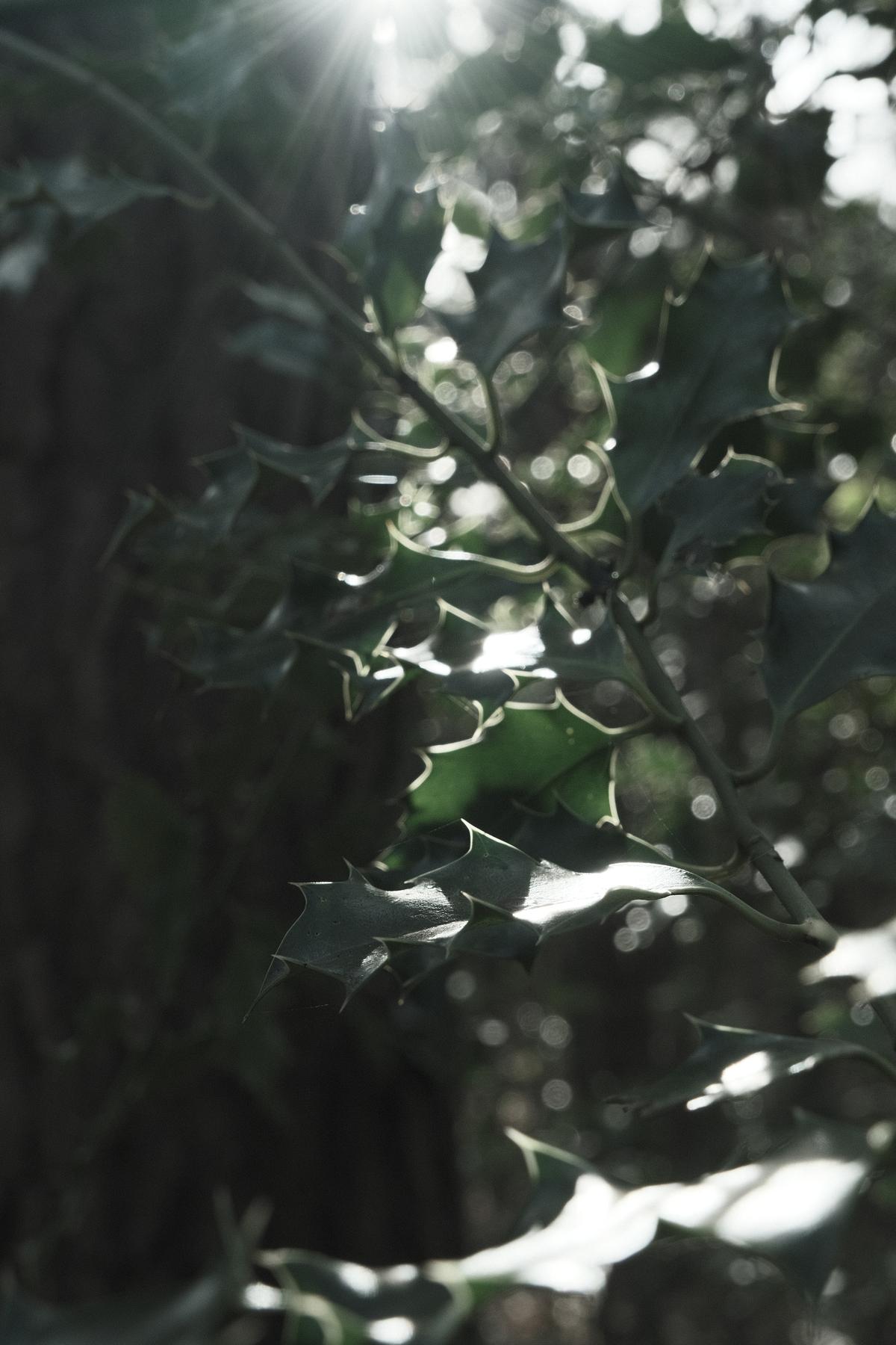 Titanium film recipe sample photo